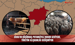 Sivas'ın küçükbaş potansiyeli rekor seviyede, tüketim alışkanlığı değişmiyor