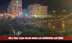 Bir ay önce taşan Fadlum Irmağı eski görünümüne geri döndü