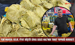 Yeni mahsul geldi, fiyat düştü! Sivas Sebze Hali'nde Tokat Yaprağı bereketi