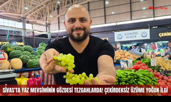 Sivas'ta yaz mevsiminin gözdesi tezgahlarda! Çekirdeksiz üzüme yoğun ilgi