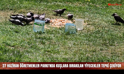 27 Haziran Öğretmenler Parkı'nda kuşlara bırakılan yiyecekler tepki çekiyor