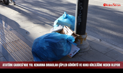 Atatürk Caddesi'nde Yol Kenarına Bırakılan Çöpler Görüntü ve Koku Kirliliğine Neden Oluyor