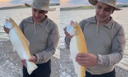 Oltasına Takılan Albino Alabalığı Görünce Gözlerine İnanamadı!
