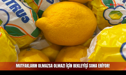 Mutfakların Olmazsa Olmazı İçin Bekleyişi Sona Eriyor!