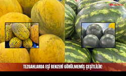 Tezgahlarda Eşi Benzeri Görülmemiş Çeşitlilik!