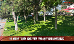 Sivas'ta Betonarme Yapıların Arasındaki Bir Yanda Yeşilin Büyüsü Bir Yanda Çevreye Rahatsızlık!
