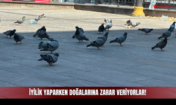 İyilik Yaparken Doğalarına Zarar Veriyorlar!
