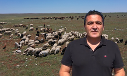 Sivas'taki 7 Köyün Ortak Merası Tehdit Altında!