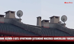 Anne Kedinin 4 Katlı Apartmanın Çatısındaki Macerası Kameralara Yansıdı!