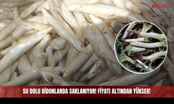Su Dolu Bidonlarda Saklanıyor! Fiyatı Altından Yüksek!