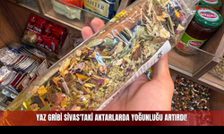 Yaz Gribi Sivas'taki Aktarlarda Yoğunluğu Artırdı!