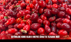 Deyimlere Konu Olan O Meyve Sivas'ta Tezgaha İndi!