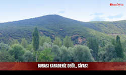 Burası Karadeniz Değil Sivas!