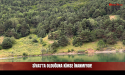 Sivas'ta Olduğuna Kimse İnanmıyor!