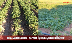 En Az Zararla Hasat Yapmak İçin Çalışmalar Sürüyor!