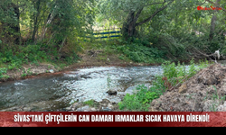 Sivas'taki Çiftçilerin Can Damarı Irmaklar Sıcak Havaya Direndi!