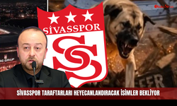 Sivasspor taraftarları heyecanlandıracak isimler bekliyor