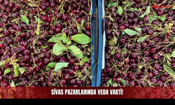 Sivas Pazarlarında Veda Vakti!