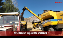Sivas'ta Hasat Başladı! Peki Verim Nasıl?