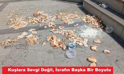 Kuşlara Sevgi Değil, İsrafın Başka Bir Boyutu