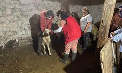 Gürün'de tarım ve hayvancılık için saha çalışması