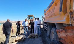 Sivas'ta yol çalışması kurban kesilerek başladı