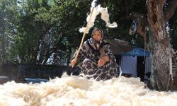 Sivas'ta yün sezonu başladı
