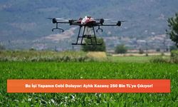 Bu İşi Yapanın Cebi Doluyor: Aylık Kazanç 250 Bin TL’ye Çıkıyor!