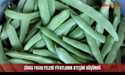 Sivas fasulyeleri fiyatların ateşini düşürdü