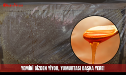 Yemini bizden yiyor, yumurtası başka yere!