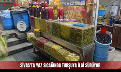 Sivas'ta yaz sıcağında turşuya ilgi sürüyor