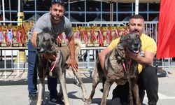 Sivas’ta Anadolu Aslanları Sahneye Çıktı!
