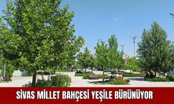 Sivas Millet Bahçesi Yeşile Bürünüyor