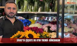 Sivas'ta çiçekte bu ayın trendi: Günebakan