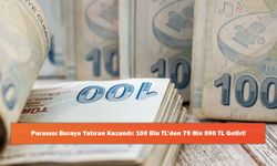 Parasını Buraya Yatıran Kazandı: 100 Bin TL’den 79 Bin 590 TL Getiri!