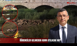 Sazlıklar, Çöpler ve Dayanılmaz Koku! Sivas'ın Kalbindeki Tarihi Doku Neden Temizlenmiyor?