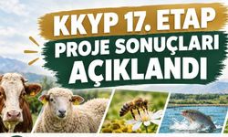 Sivas’a 121 projeye 337 milyon 87 bin TL hibe desteği