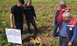 Sivas’ta İyi Tarım Uygulamaları Denetimleri Sürüyor