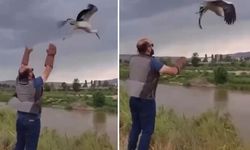Sivas'ta tedavisi tamamlanan leylek doğaya salındı