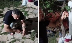 Sivas'ta bahçesindeki yılanı tuttu, sevdi, doğaya bıraktı
