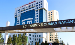 Tarım ve Orman Bakanlığı açıkladı, 10 aroma vericinin kullanımına son veriliyor