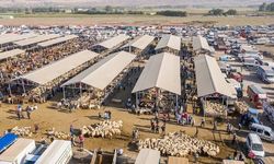 Şarkışla Hayvan Pazarı şap hastalığı tedbiri kapsamında kapatıldı