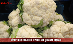 Sivas’ta kış sebzeleri tezgahlara çıkmaya başladı