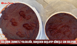 Salçanın zahmetli yolculuğu, bahçeden başlayıp güneşle son buluyor