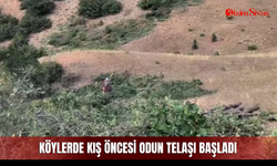 Köylerde kış öncesi odun telaşı başladı