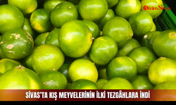 Sivas’ta kış meyvelerinin ilki tezgâhlara indi