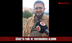 Sivas'ta fare ve tahtakurusu alarmı