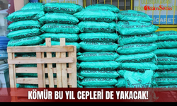 Kömür bu yıl cepleri de yakacak!