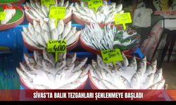 Sivas'ta balık tezgahları şenlenmeye başladı