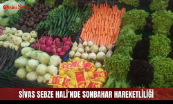 Sivas Sebze Hali’nde sonbahar hareketliliği